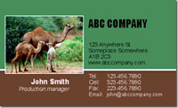 Nature, wild, animal, camel, zoo, zoo,